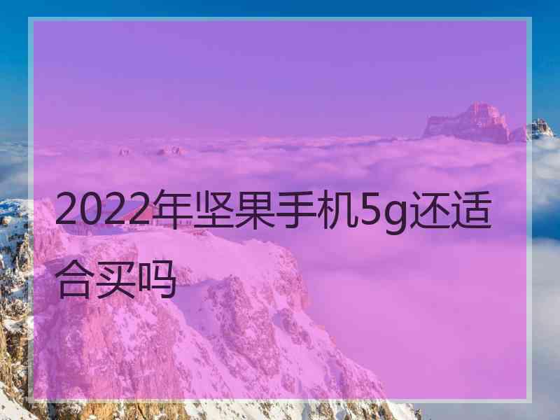 2022年坚果手机5g还适合买吗
