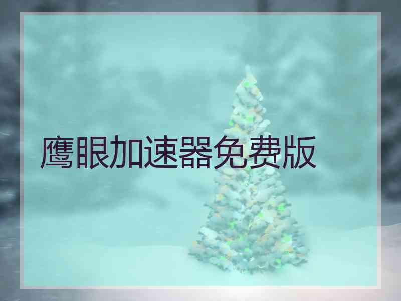 鹰眼加速器免费版