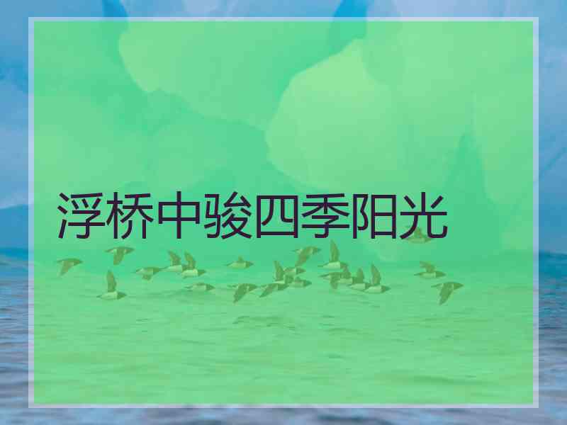 浮桥中骏四季阳光