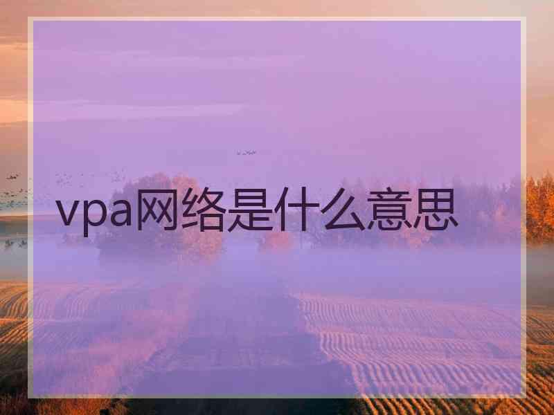 vpa网络是什么意思