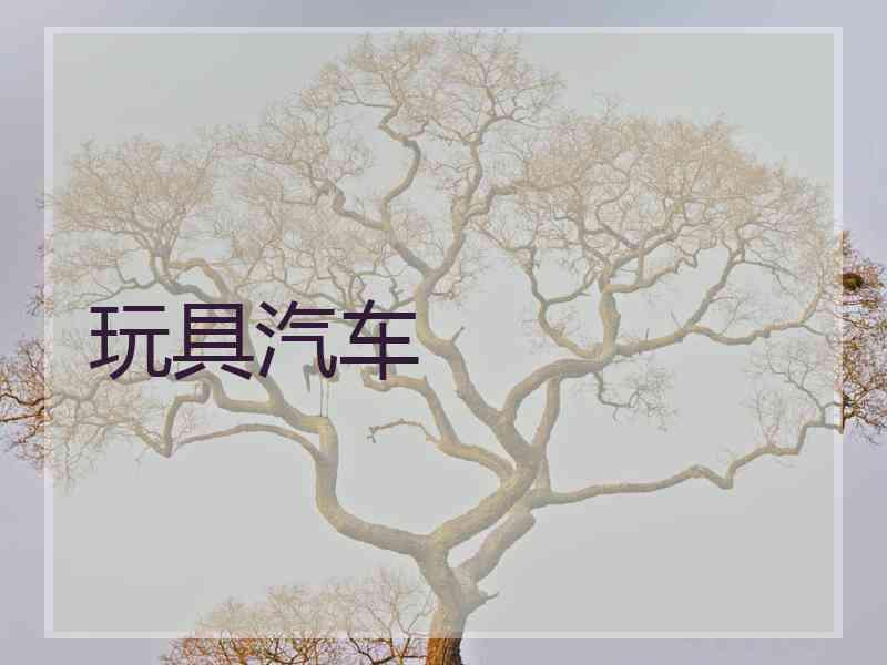 玩具汽车