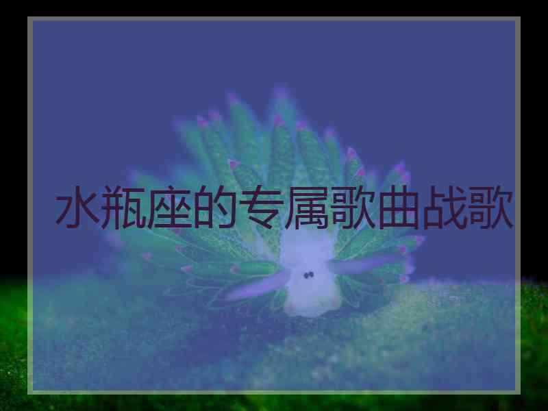 水瓶座的专属歌曲战歌