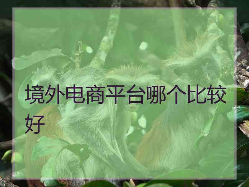 境外电商平台哪个比较好