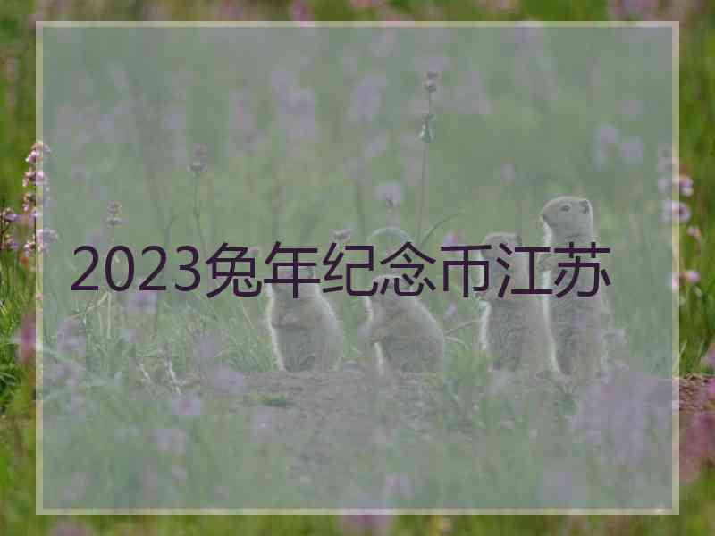 2023兔年纪念币江苏