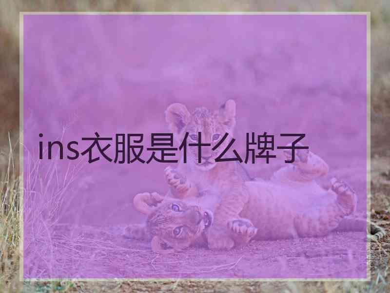 ins衣服是什么牌子