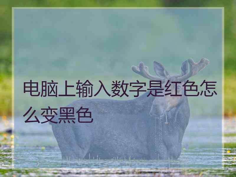 电脑上输入数字是红色怎么变黑色