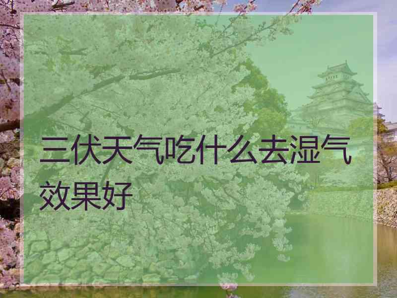 三伏天气吃什么去湿气效果好
