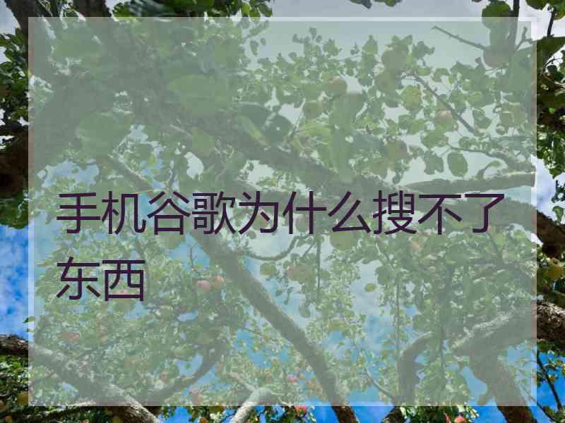 手机谷歌为什么搜不了东西