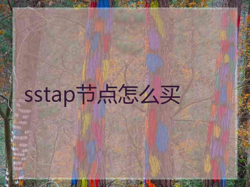 sstap节点怎么买