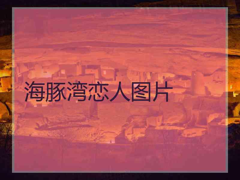 海豚湾恋人图片