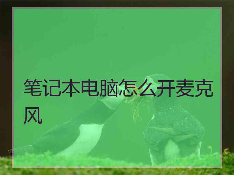 笔记本电脑怎么开麦克风