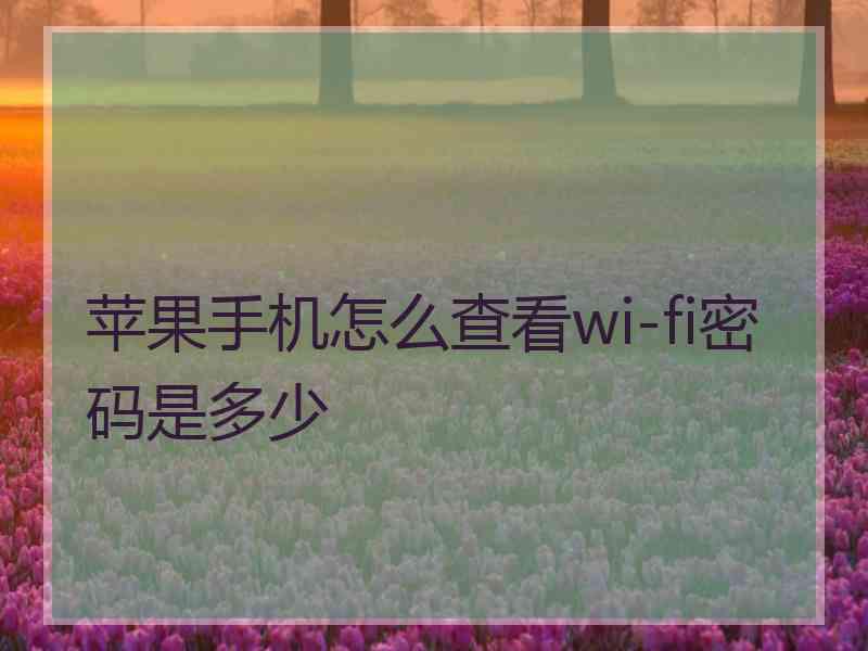 苹果手机怎么查看wi-fi密码是多少