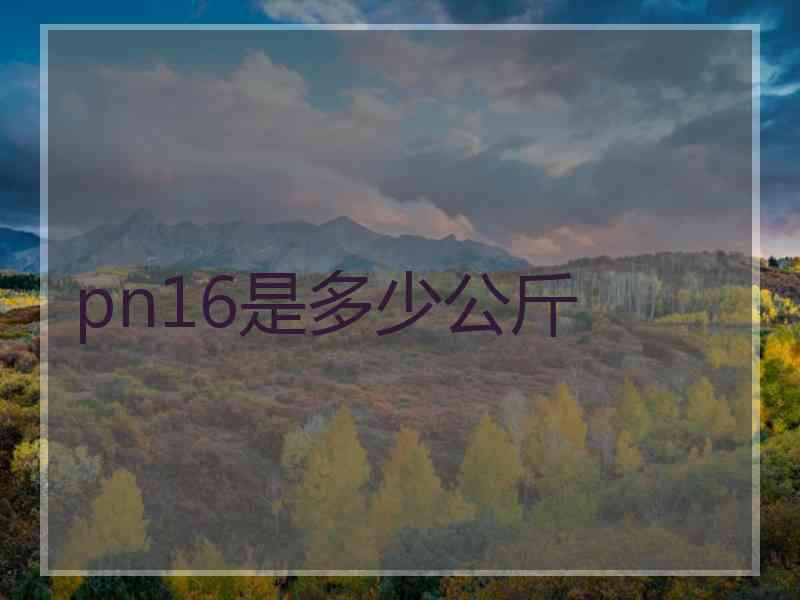 pn16是多少公斤