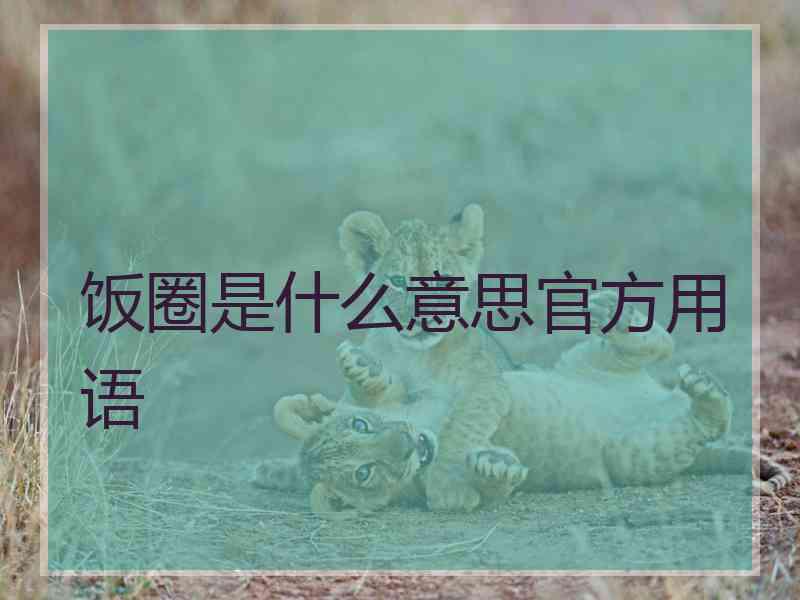 饭圈是什么意思官方用语