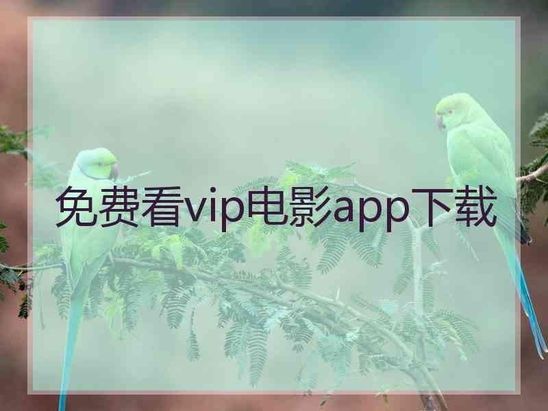 免费看vip电影app下载