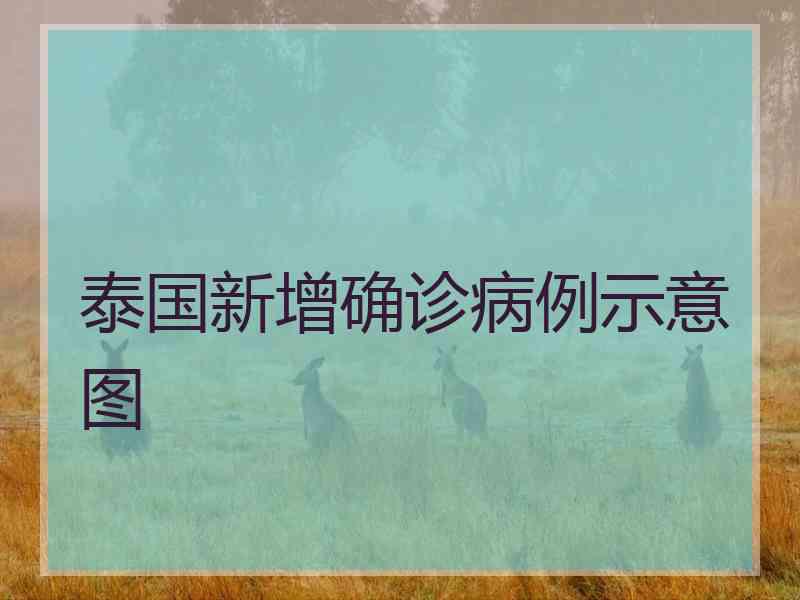 泰国新增确诊病例示意图