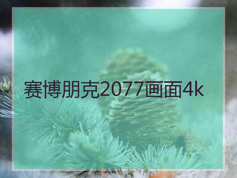 赛博朋克2077画面4k