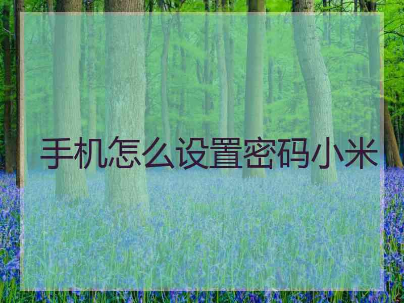 手机怎么设置密码小米