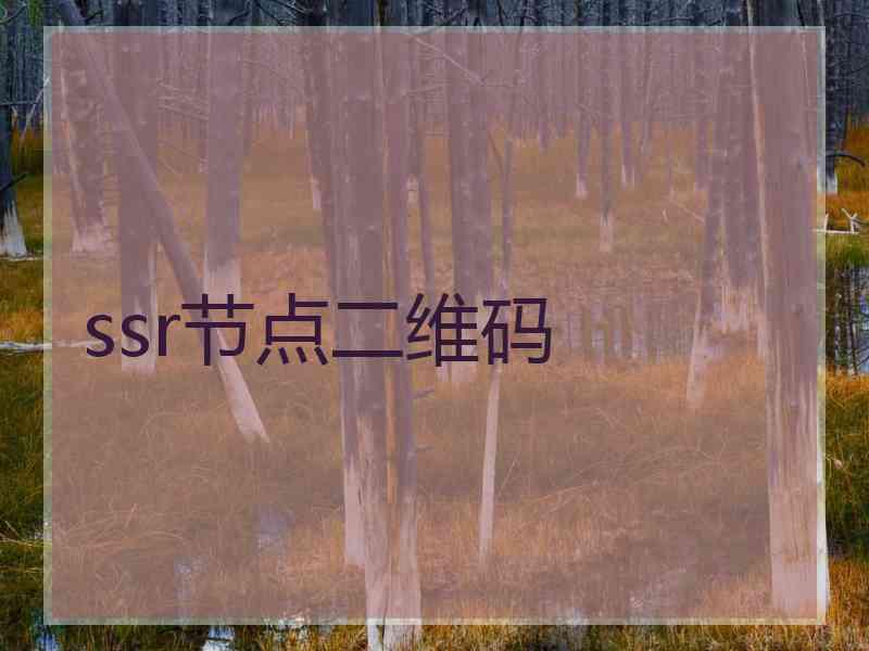 ssr节点二维码