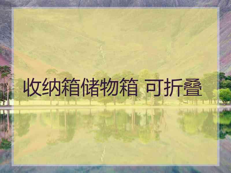 收纳箱储物箱 可折叠