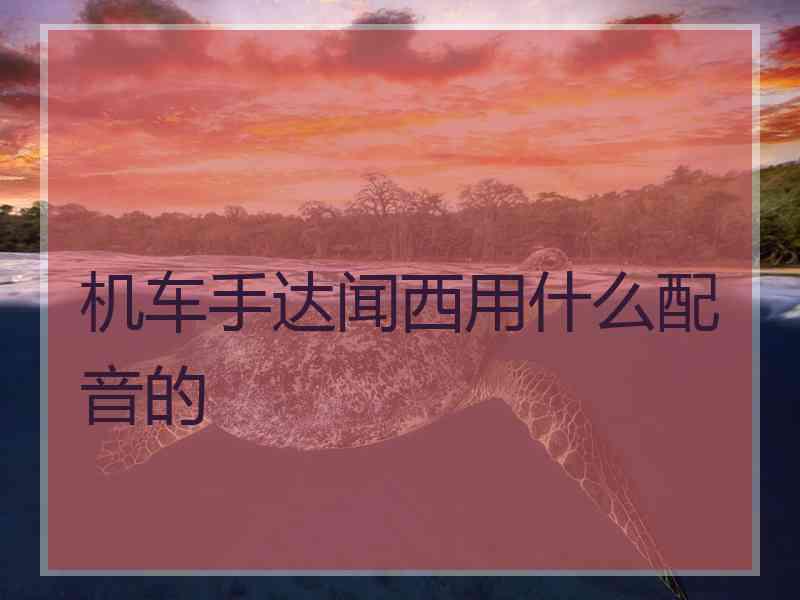 机车手达闻西用什么配音的