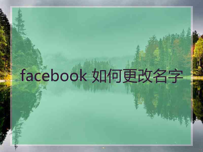 facebook 如何更改名字