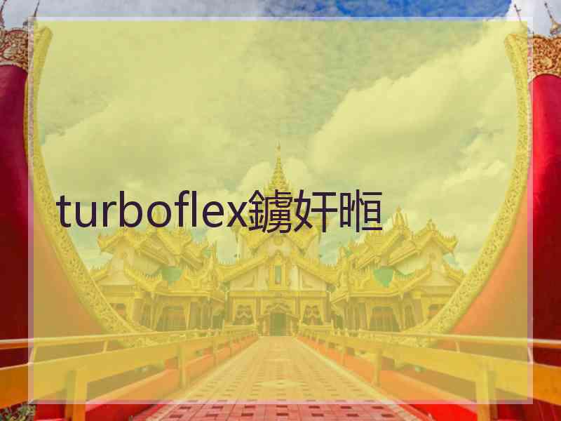 turboflex鐪奸暅