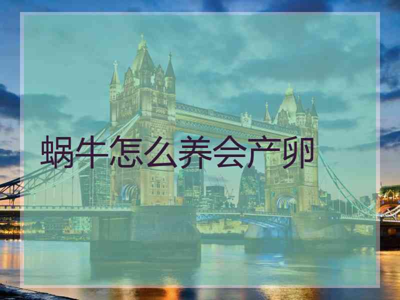 蜗牛怎么养会产卵