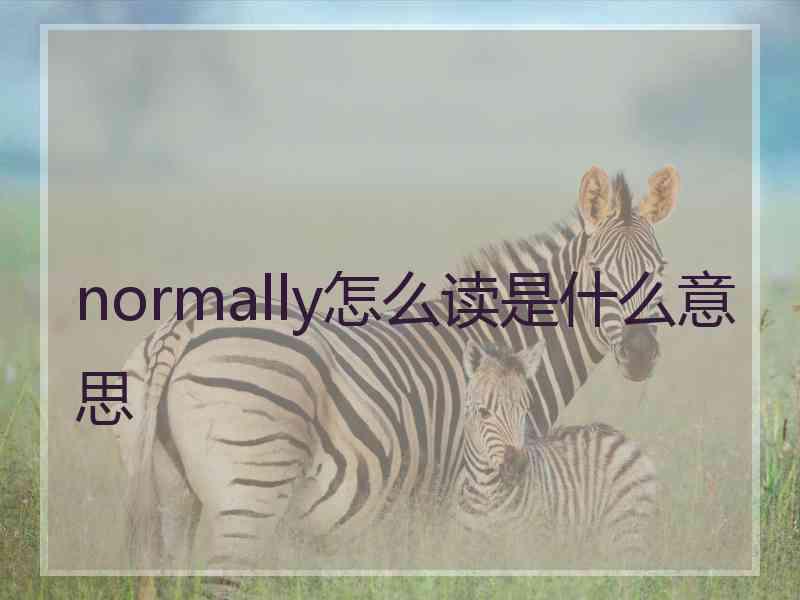 normally怎么读是什么意思
