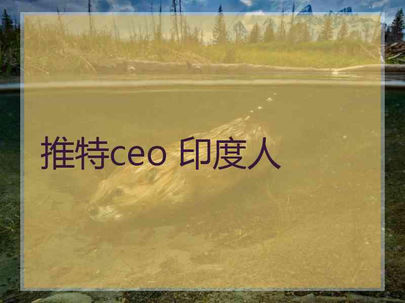 推特ceo 印度人