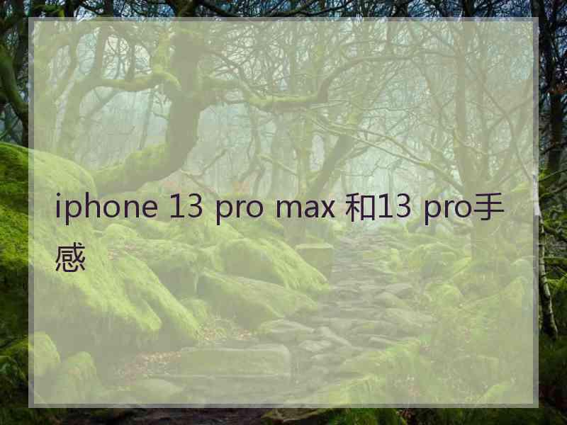 iphone 13 pro max 和13 pro手感