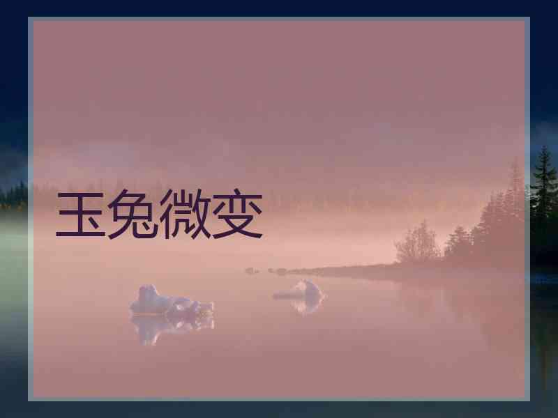 玉兔微变