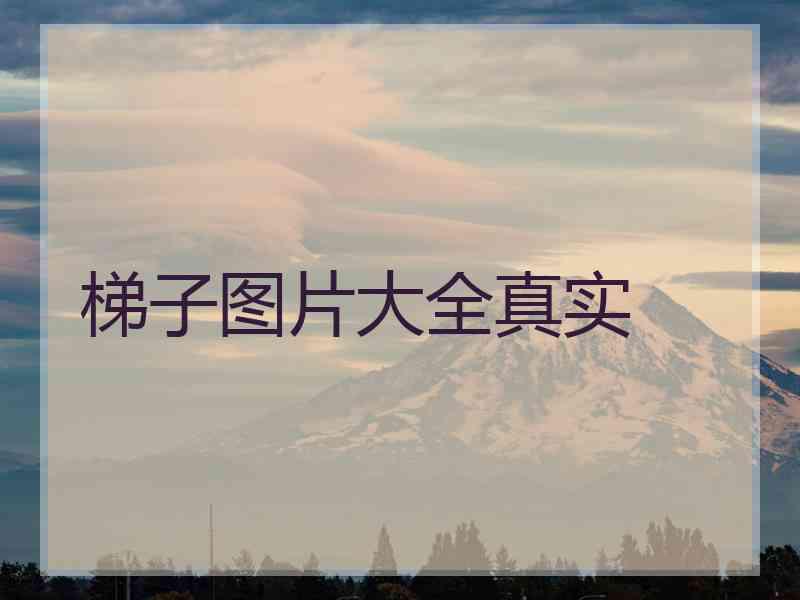梯子图片大全真实