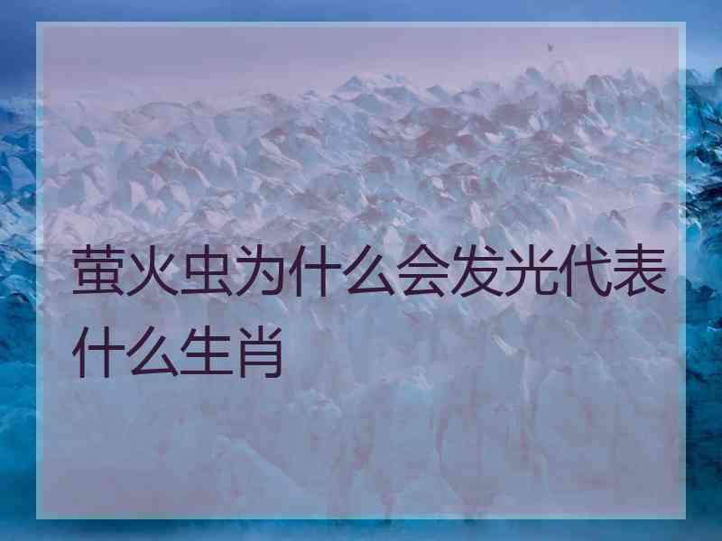 萤火虫为什么会发光代表什么生肖