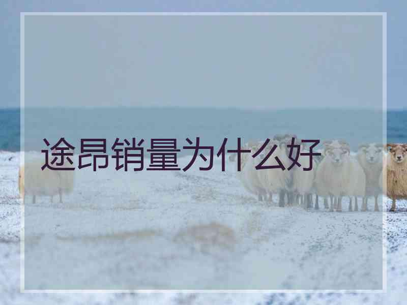 途昂销量为什么好