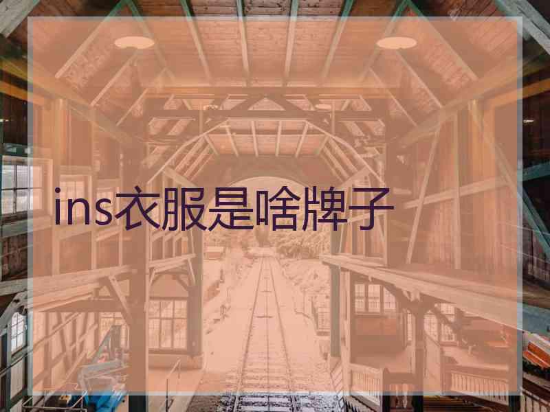 ins衣服是啥牌子
