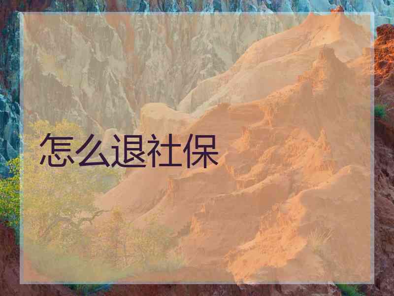 怎么退社保