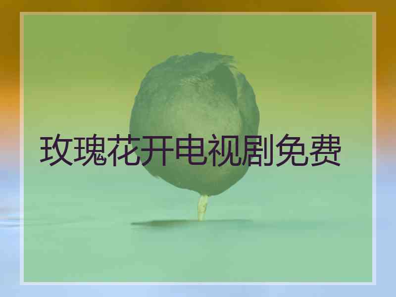 玫瑰花开电视剧免费