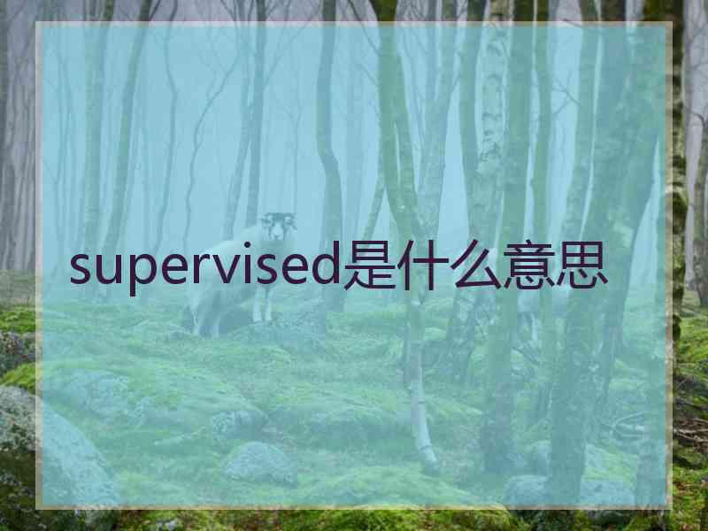 supervised是什么意思