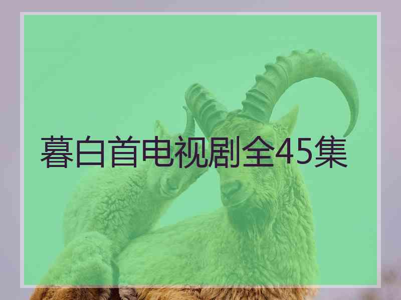 暮白首电视剧全45集