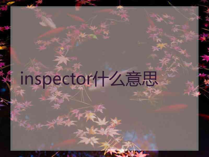 inspector什么意思