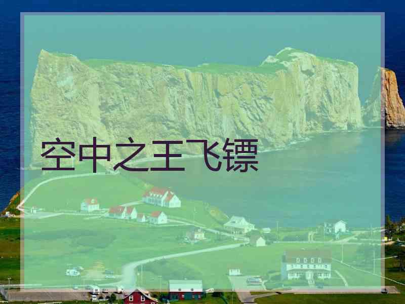 空中之王飞镖