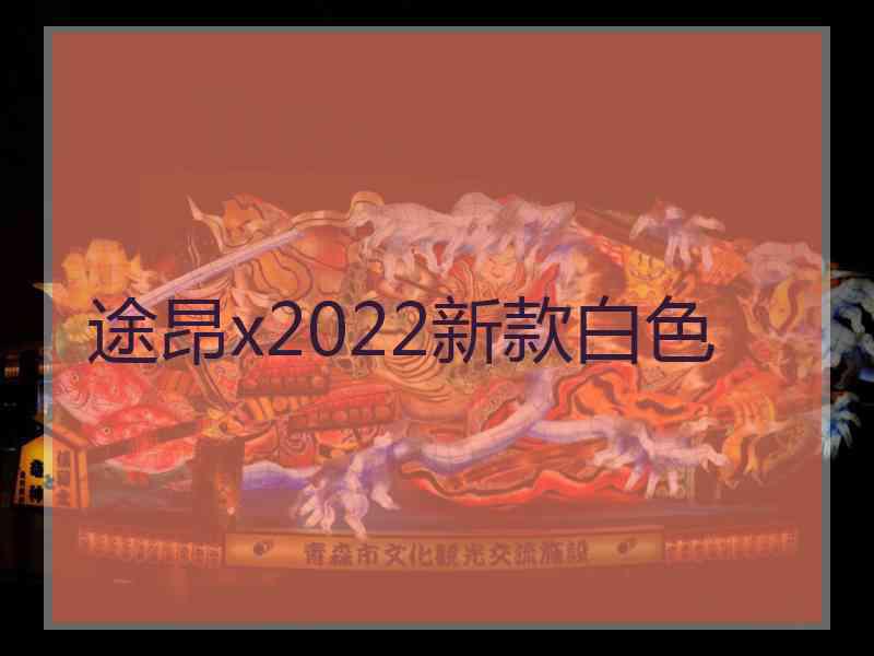 途昂x2022新款白色