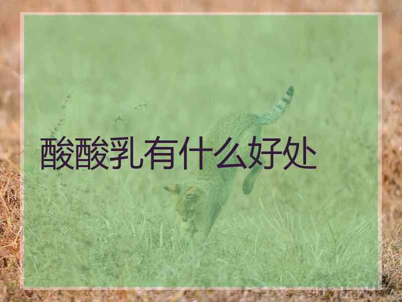 酸酸乳有什么好处