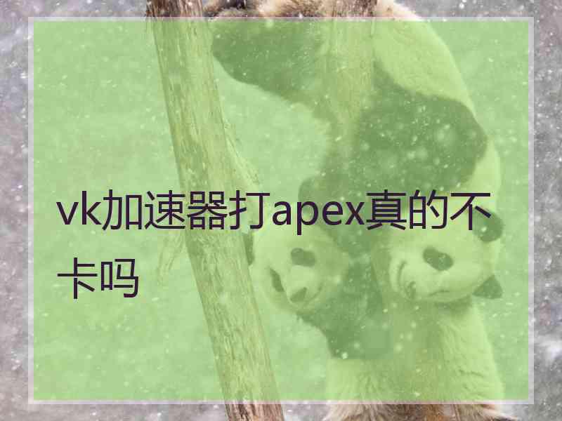 vk加速器打apex真的不卡吗