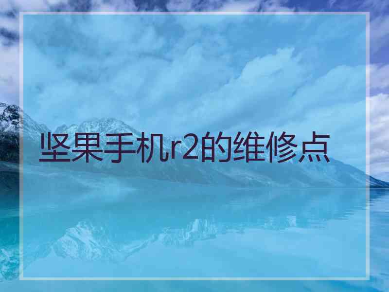 坚果手机r2的维修点