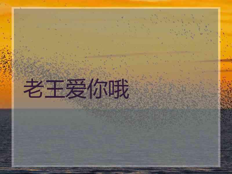 老王爱你哦