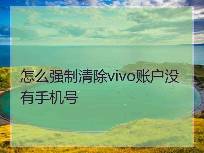 怎么强制清除vivo账户没有手机号