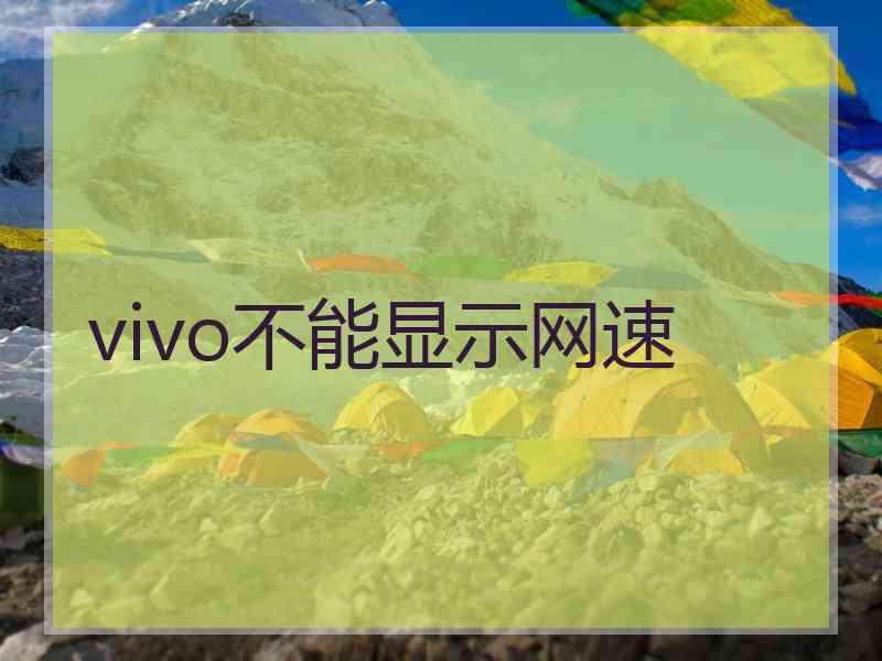 vivo不能显示网速