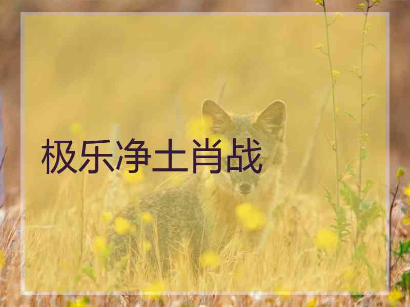 极乐净土肖战